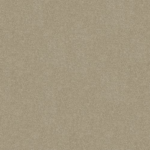 Darling Cove 10 Parchment